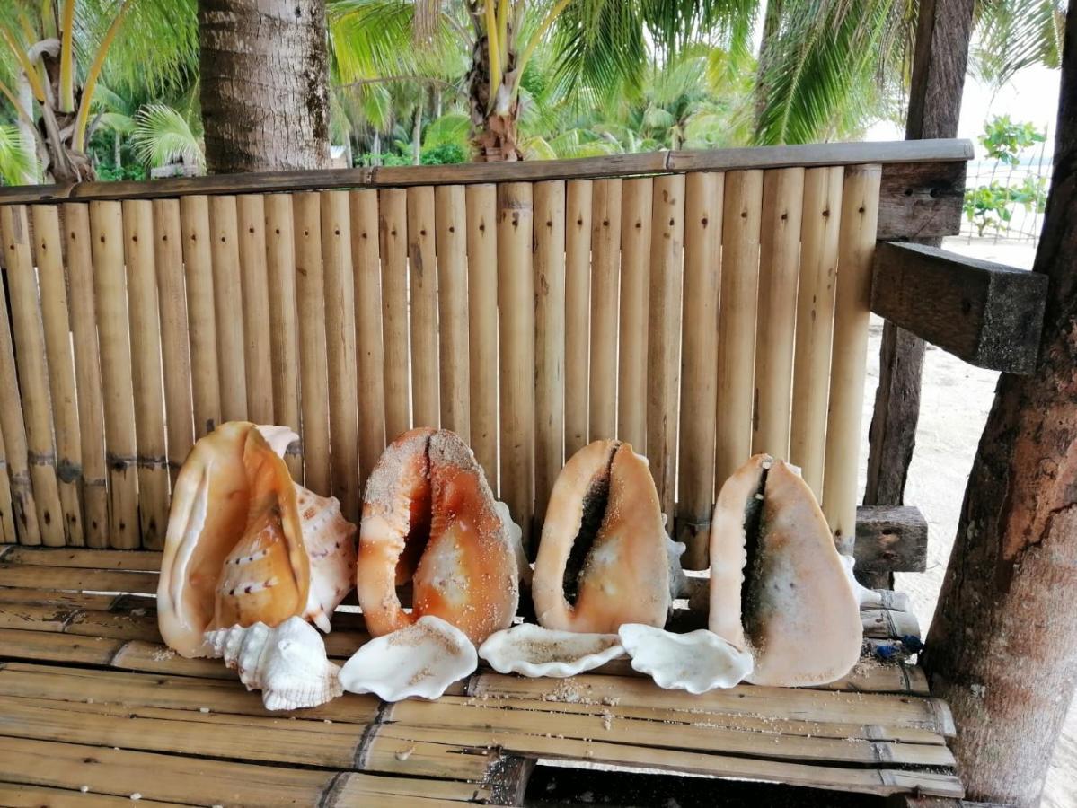 Anajawan Island Beachfront Resort General Luna  Buitenkant foto