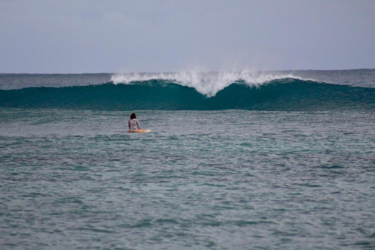 Anajawan Island Beachfront Resort General Luna  Buitenkant foto